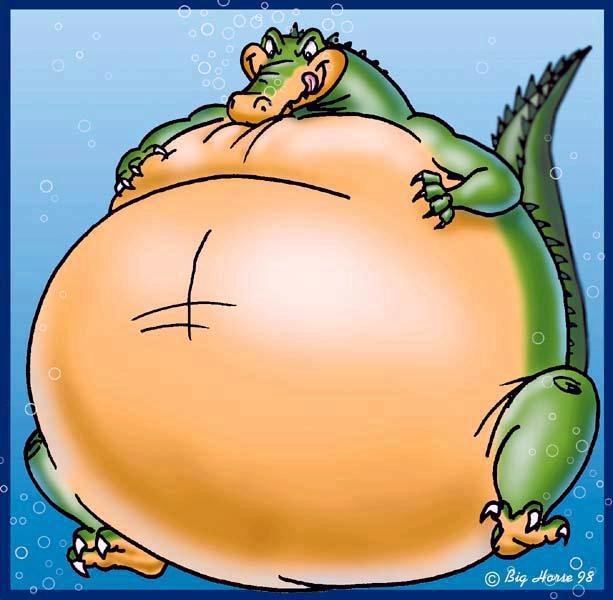 algator2.jpg