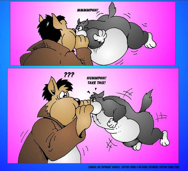 06-captfurry.jpg