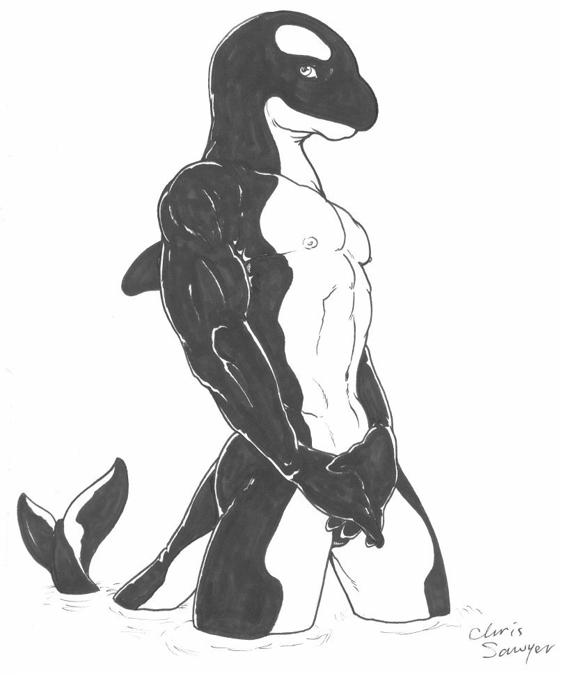 Orca.jpg