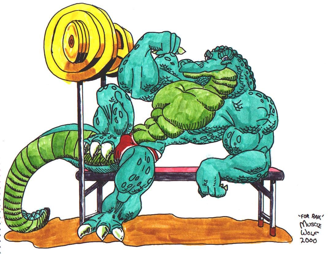 MW_workout_gator.jpg