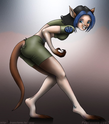 roo.jpg