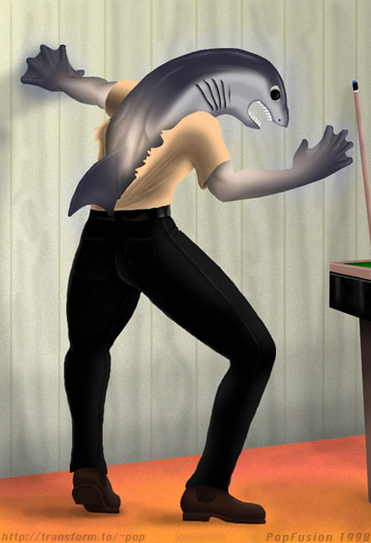 shark98.jpg