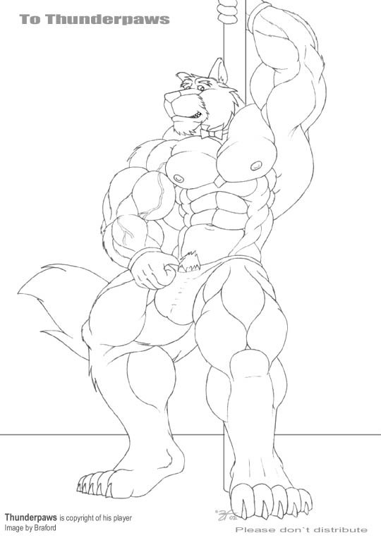 Thunderpaws