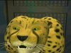 Thumbnail for Cheetor