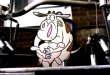 Thumbnail for Cow