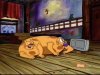 Thumbnail for CatDog