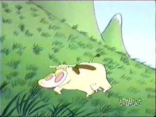 Cow_Weight_Gain