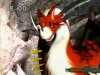 Thumbnail for Dorugamon