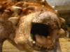 Thumbnail for Ankylosaurus