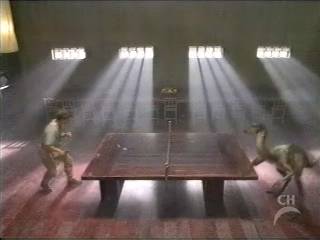 zippoplayspingpongkarl