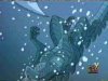 Clip:2451;cat:-305 Thumbnail for Godzilla