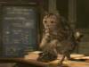 Thumbnail for Professor McGonagall