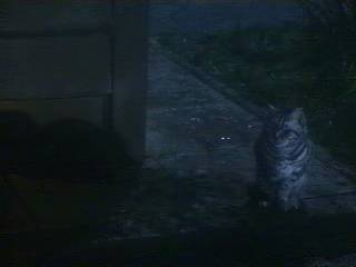 McGonagall_into_Cat1-