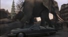Clip:915;cat:-201 Thumbnail for Rhino & Elephant Stampede