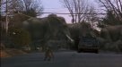 Clip:916;cat:-201 Thumbnail for Rhino & Elephant Stampede