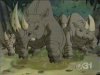Clip:997;cat:-201 Thumbnail for Rhino Herd