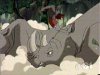 Clip:1002;cat:-201 Thumbnail for Rhino Herd
