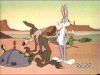 Thumbnail for Wile E. Coyote