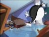 Thumbnail for Sylvester
