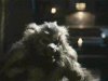 Thumbnail for Werewolf