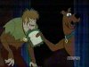 Thumbnail for Shaggy Rogers