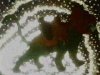 Thumbnail for Prince Adam and Cringer