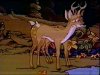 Thumbnail for Deer