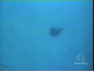 madisonrecoverwallet