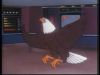 Clip:6065;cat:9001 Thumbnail for Jayna and Zan