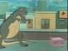 Clip:3113;cat:9001 Thumbnail for Jayna and Zan