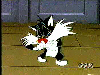 Thumbnail for Sylvester