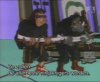 Clip:2895;cat:-201 Thumbnail for Rocksteady