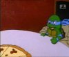 Thumbnail for Michelangelo & Leonardo