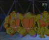 Thumbnail for Donatello, Michelangelo & Raphael
