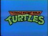 Teenage Mutant Ninja Turtles (1987)