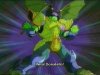 Thumbnail for Leonardo, Michelangelo, Raphael, Donatello