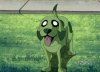Clip:3692;cat:20 Thumbnail for Beast Boy