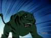 Clip:3791;cat:63 Thumbnail for Beast Boy