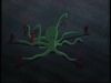 Clip:5646;cat:133 Thumbnail for Beast Boy