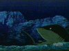 Clip:3327;cat:66 Thumbnail for Beast Boy (Fish)