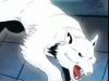 Thumbnail for Snow Bird